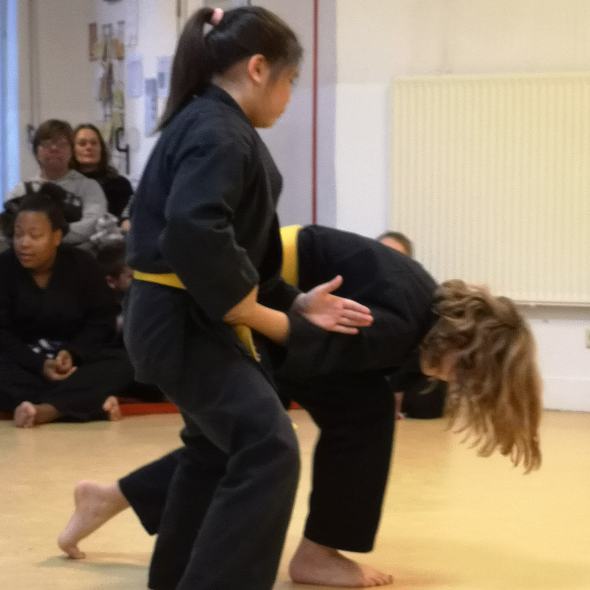 Shuri Ryu Karate, Selbstverteidigung, Self Defence, Modern Arnis, Taj Chi, Qi Gong